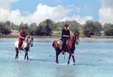 Tunisia-Tunisia-Monastir Star Rides